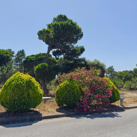 度假居 Portucale ! Lagoa De Albufeira Breeze Retreat 塞辛布拉